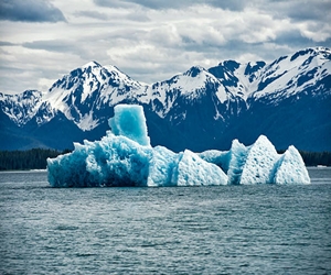 Float Among Icebergs